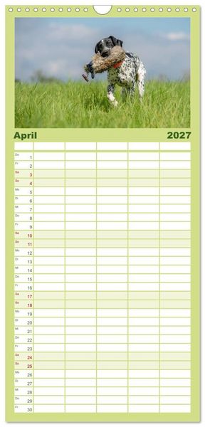 Produktbild: Familienplaner 2027 - Jagdhunde bei der Arbeit mit 5 Spalten (Wandkalender, 21 x 45 cm) CALVENDO