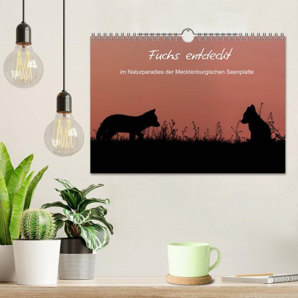 Produktbild: Fuchs entdeckt - im Naturparadies der Mecklenburgischen Seenplatte (Wandkalender 2026 DIN A4 quer), CALVENDO Monatskalender