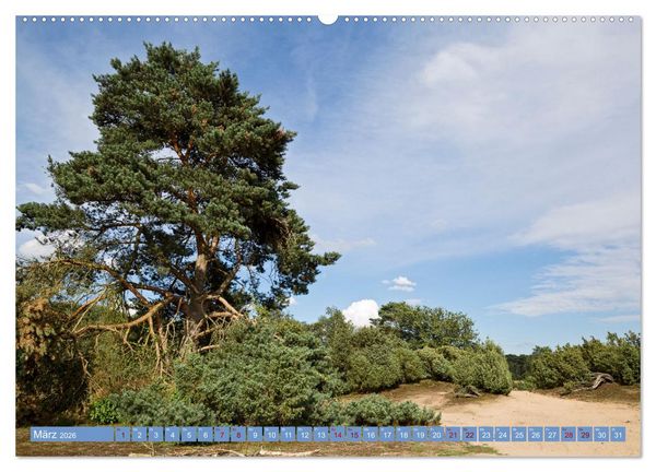 Produktbild: Haltern am See (hochwertiger Premium Wandkalender 2026 DIN A2 quer), Kunstdruck in Hochglanz