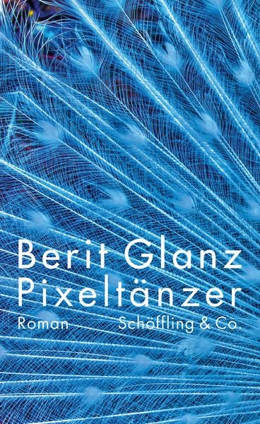 Pixeltänzer, Gebundene Ausgabe von Berit Glanz, Schöffling, 978-3-89561-192-6