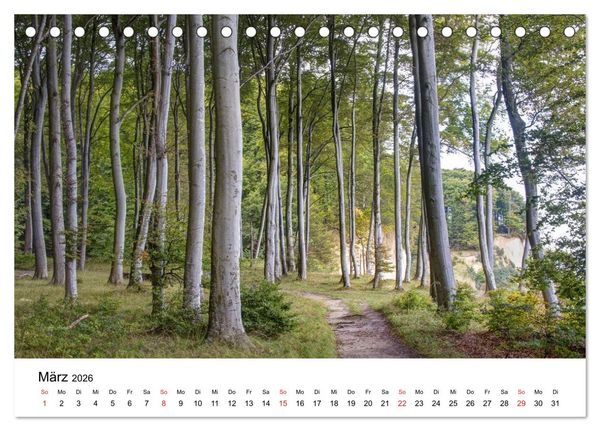 Produktbild: Der Hochuferweg im Jasmund Nationalpark (Tischkalender 2026 DIN A5 quer), CALVENDO Monatskalender