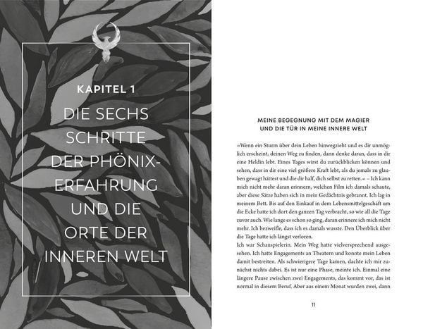 Produktbild: Die Ph&ouml;nixerfahrung
