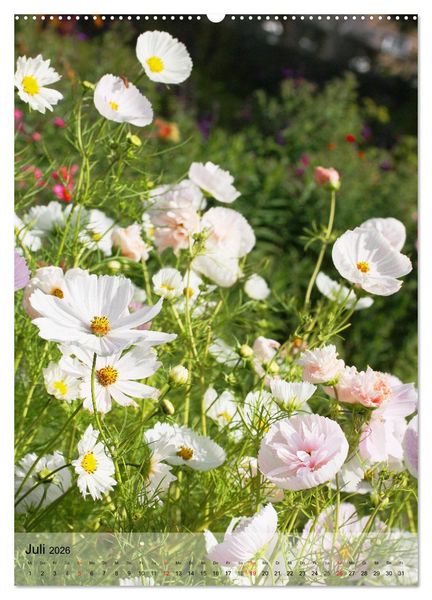 Produktbild: Ferien im Garten (Wandkalender 2026 DIN A2 hoch), CALVENDO Monatskalender