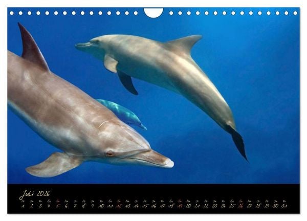 Produktbild: &Auml;gypten - Eine Entdeckungsreise (Wandkalender 2026 DIN A4 quer), CALVENDO Monatskalender