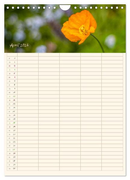 Produktbild: Mit Blick in den Garten (Wandkalender 2026 DIN A4 hoch), CALVENDO Monatskalender