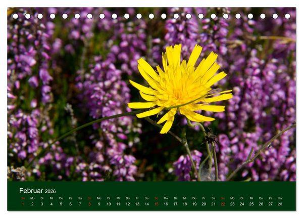 Produktbild: Blumen und Bl&uuml;ten (Tischkalender 2026 DIN A5 quer), CALVENDO Monatskalender