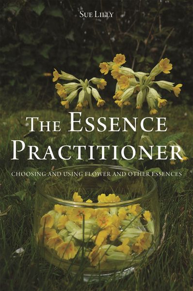 Produktbild: The Essence Practitioner