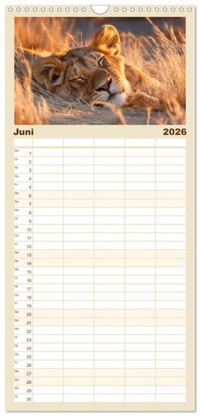 Produktbild: Familienplaner 2026 - GUTE NACHT - Schlafende Tiere, traumhaft sch&ouml;n mit 5 Spalten (Wandkalender, 21 x 45 cm) CALVENDO