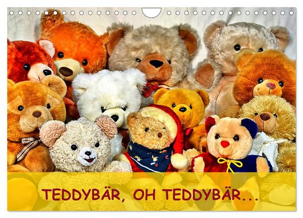 TEDDYBÄR, OH TEDDYBÄR... (Wandkalender 2026 DIN A4 quer), CALVENDO Monatskalender