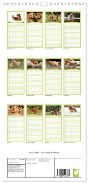 Produktbild: Familienplaner 2026 - Nova Scotia Duck Tolling Retriever mit 5 Spalten (Wandkalender, 21 x 45 cm) CALVENDO