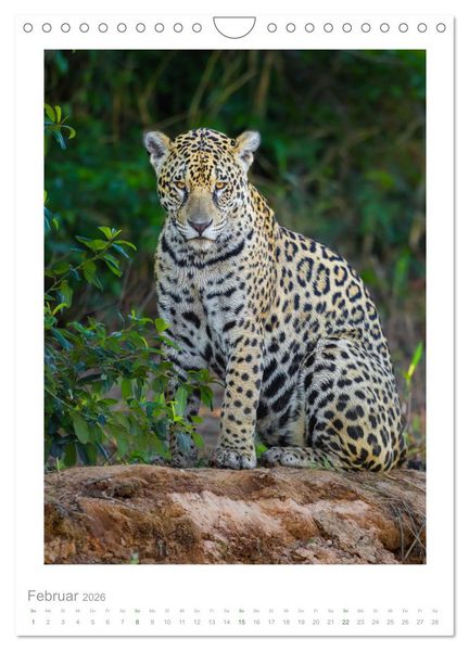Produktbild: Pantanal &ndash; Einzigartiges Wildlife-Paradies (Wandkalender 2026 DIN A4 hoch), CALVENDO Monatskalender