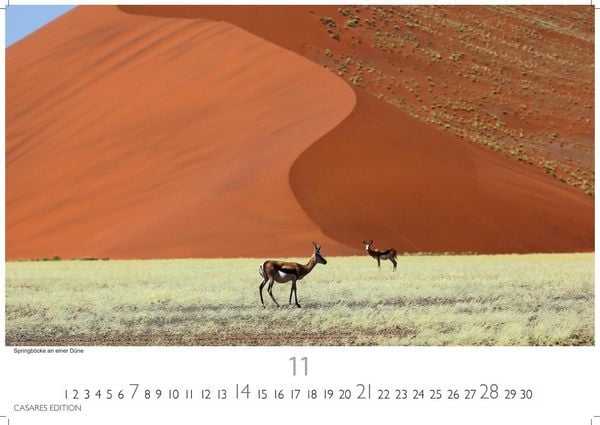 Produktbild: Wilde Tiere Afrikas Kalender 2027 &ndash; Wandkalender | Fotokalender Afrika 35x50cm | Naturfotografie | Tierkalender Afrika | Geschenk f&uuml;r Naturliebhaber