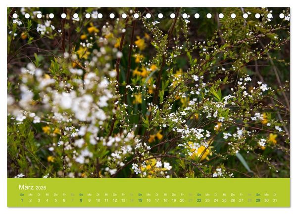 Produktbild: Gartenfl&uuml;stern (Tischkalender 2026 DIN A5 quer), CALVENDO Monatskalender