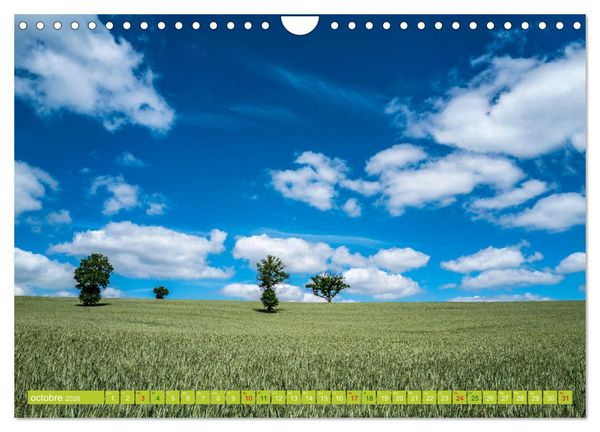 Produktbild: Solitude verdoyante (Calendrier mural 2026 DIN A4 vertical), CALVENDO calendrier mensuel