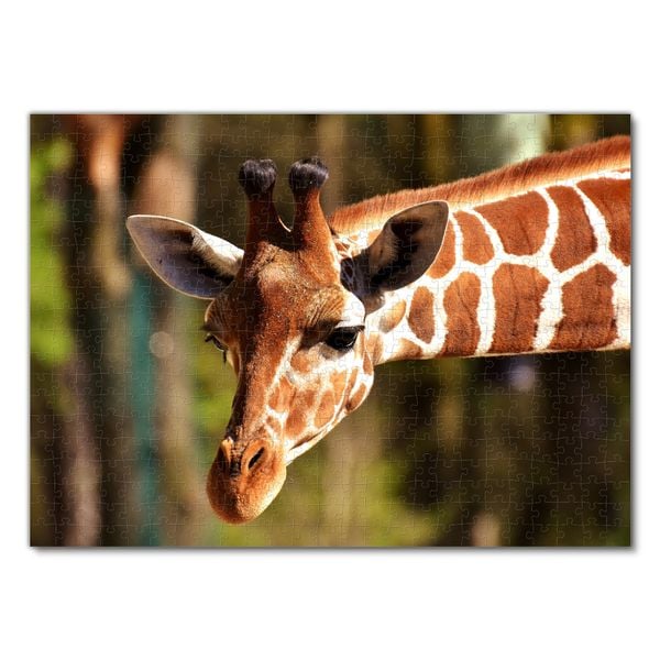 Produktbild: Lais Puzzle Giraffe 500 Teile