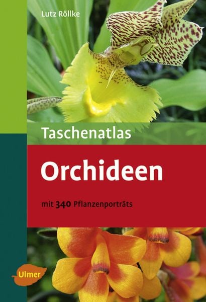 Produktbild: Orchideen