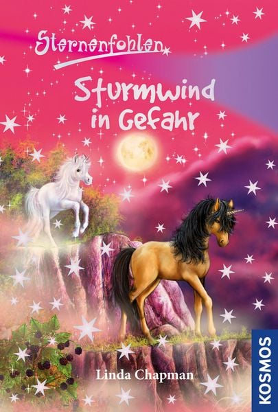 Produktbild: Sternenfohlen 15. Sturmwind in Gefahr