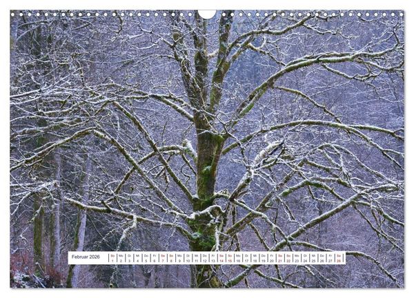 Produktbild: Vom Augenblick der Stille 2026 (Wandkalender 2026 DIN A3 quer), CALVENDO Monatskalender