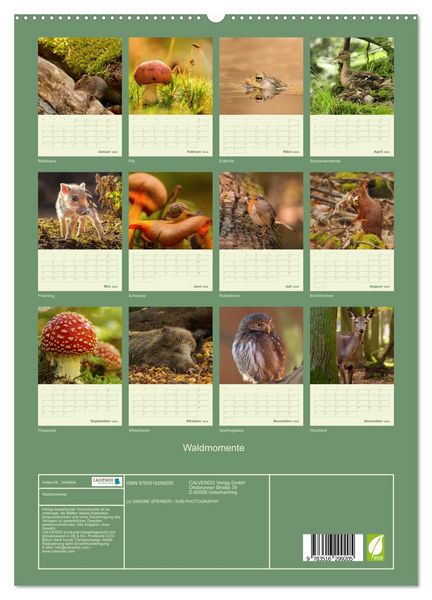 Produktbild: Waldmomente (hochwertiger Premium Wandkalender 2026 DIN A2 hoch), Kunstdruck in Hochglanz