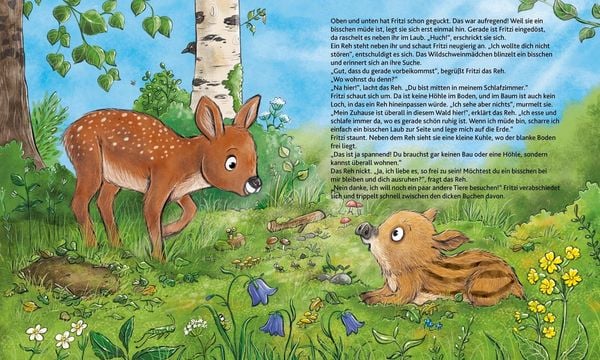 Wie wohnen die Waldtiere?