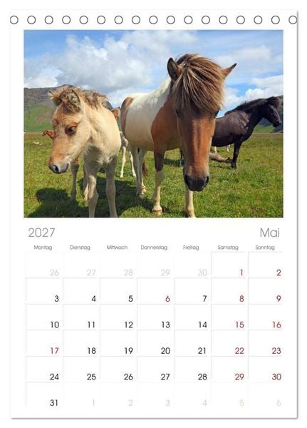 Produktbild: Tischplaner 2027 - Island - Iceland (A5 Tischkalender zum Aufstellen) CALVENDO