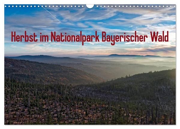 Produktbild: Herbst im Nationalpark Bayerischer Wald (Wandkalender 2026 DIN A3 quer), CALVENDO Monatskalender