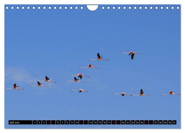 Produktbild: Faszination Sardinien (Wandkalender 2026 DIN A4 quer), CALVENDO Monatskalender