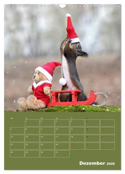 Produktbild: Eichh&ouml;rnchen - Abenteuer mit Freund Teddy (Wandkalender 2026 DIN A3 hoch), CALVENDO Monatskalender