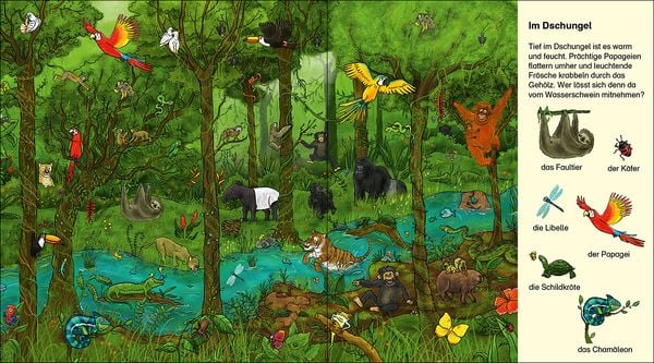 Produktbild: Suche und finde! - Wilde Tiere
