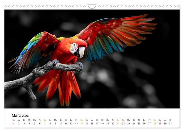 Produktbild: Magie der Tierwelt (Wandkalender 2026 DIN A3 quer), CALVENDO Monatskalender