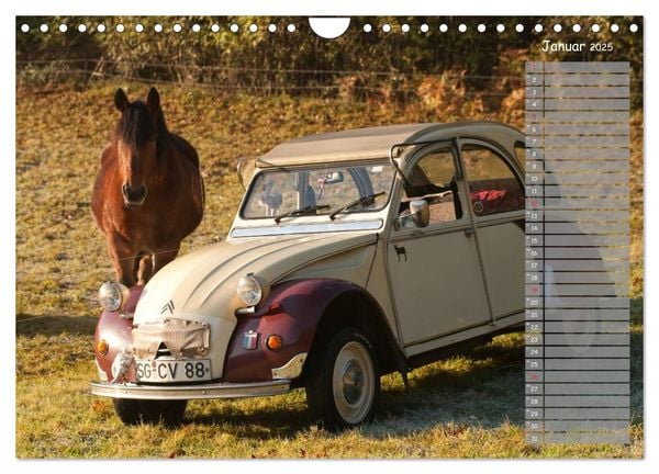 Produktbild: Kultautomobil Ente Citro&euml;n 2CV (Wandkalender 2025 DIN A4 quer), CALVENDO Monatskalender