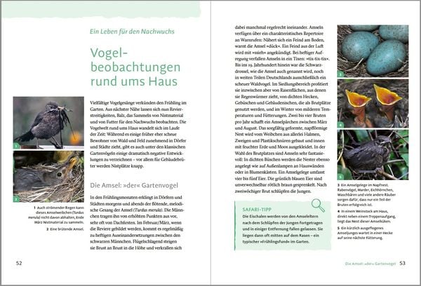 Produktbild: Gartensafari