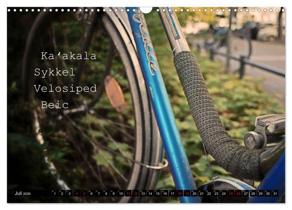 Produktbild: Weltfahrrad (Wandkalender 2026 DIN A3 quer), CALVENDO Monatskalender