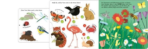 Produktbild: Kennst du die Tiere?