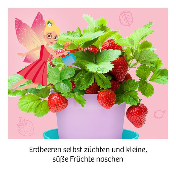 Produktbild: KOSMOS - Feen-Erdbeeren