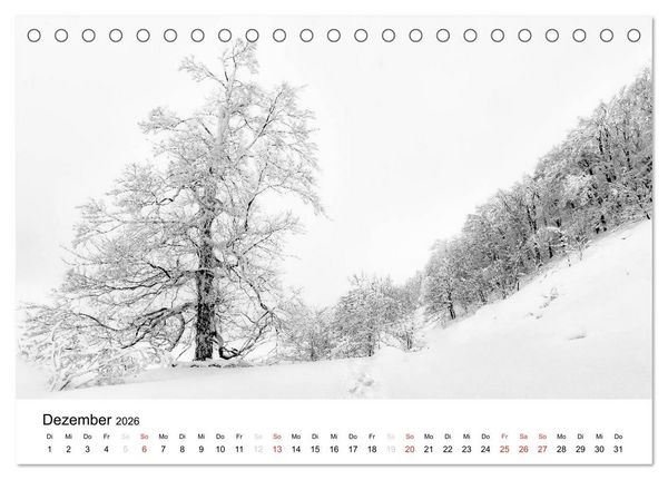 Produktbild: Naturerlebnis im Biosph&auml;renreservat Rh&ouml;n (Tischkalender 2026 DIN A5 quer), CALVENDO Monatskalender