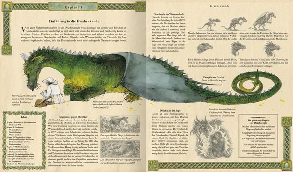 Produktbild: Expedition in die geheime Welt der Drachen