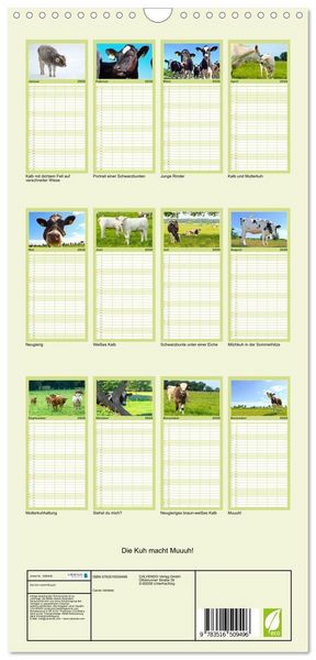 Produktbild: Familienplaner 2026 - Die Kuh macht Muuuh! mit 5 Spalten (Wandkalender, 21 x 45 cm) CALVENDO