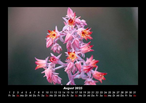 Produktbild: Bilder der Natur 2025 Fotokalender DIN A3