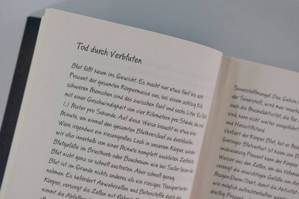 Produktbild: Academy of Lies (Band 1) - Anatomie einer Verschwörung