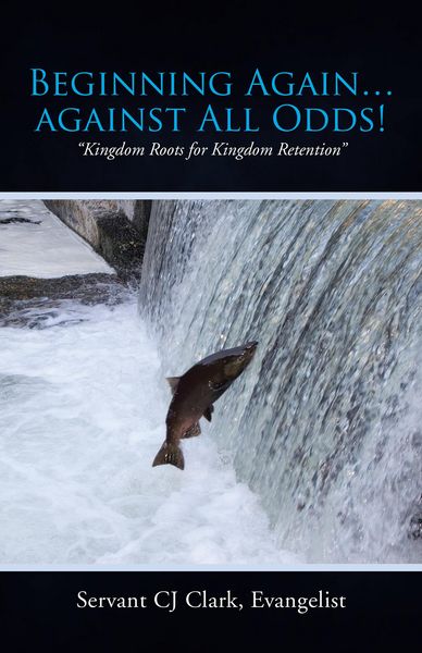 Produktbild: Beginning Again...Against All Odds!