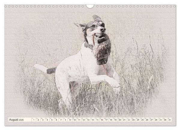 Produktbild: Bodeguero Andaluz 2026 (Wandkalender 2026 DIN A3 quer), CALVENDO Monatskalender