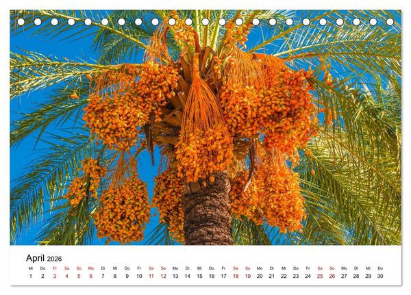 Produktbild: T&uuml;rkei, Antalya: Urlaubsparadies am Mittelmeer (Tischkalender 2026 DIN A5 quer), CALVENDO Monatskalender