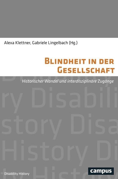 Blindheit in der Gesellschaft, Taschenbuch von , Campus, 9783593508184