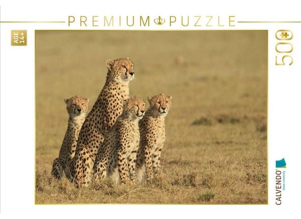 CALVENDO Puzzle Geparden auf Beutesuche | 500 Teile Lege-Größe 48 × 36 cm Foto-Puzzle für Erwachsene