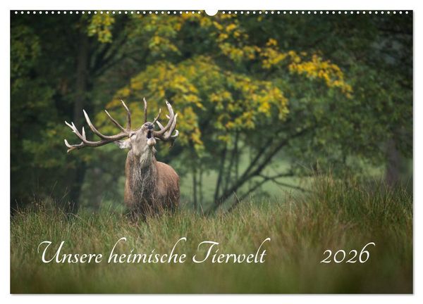 Produktbild: Unsere heimische Tierwelt (Wandkalender 2026 DIN A2 quer), CALVENDO Monatskalender