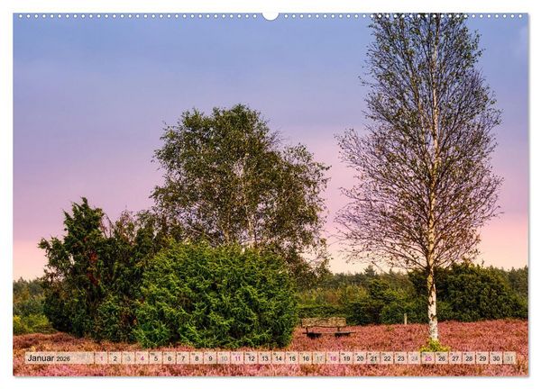 Produktbild: L&uuml;neburger S&uuml;dheide (hochwertiger Premium Wandkalender 2026 DIN A2 quer), Kunstdruck in Hochglanz