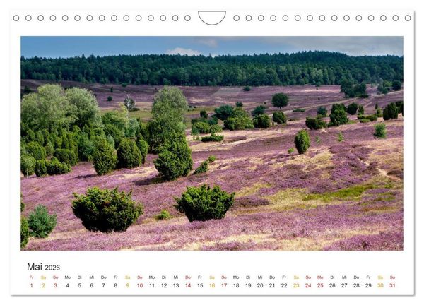 Produktbild: Niedersachsen - Meer, Heide, Harz (Wandkalender 2026 DIN A4 quer), CALVENDO Monatskalender