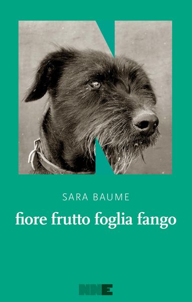 Produktbild: Fiore frutto foglia fango