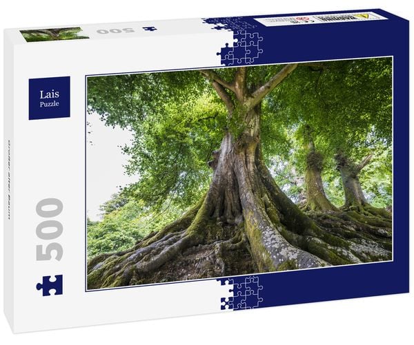 Lais Puzzle Großer alter Baum 500 Teile